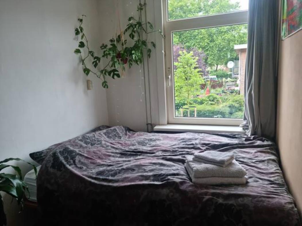 For rent: Amsterdam