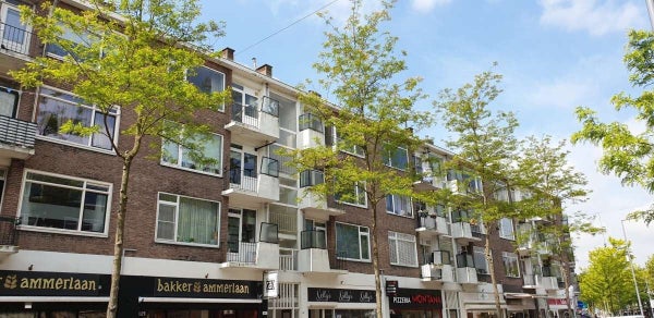 Te huur: Rotterdam