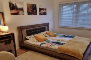 For rent: Haarlem