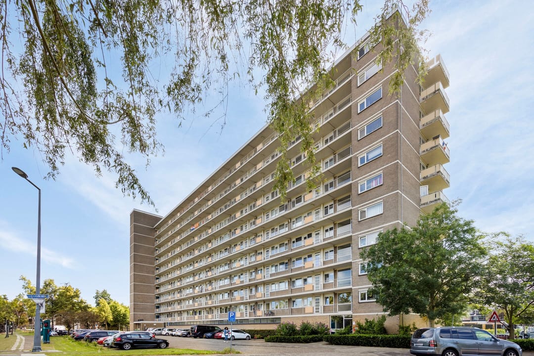 For rent: Rotterdam
