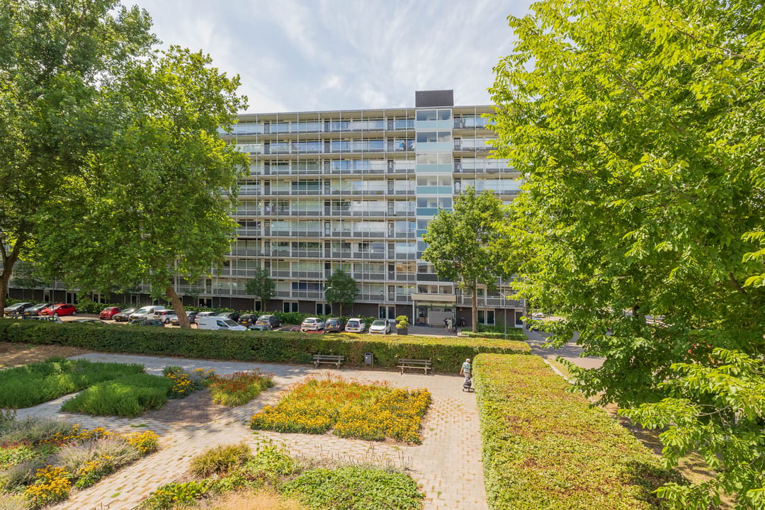 Te huur: Haarlem