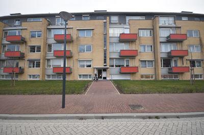 For rent:  Maastricht  / €1075.00 p.m. / 79.00m2