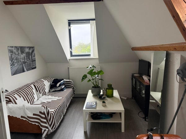 For rent: Rotterdam