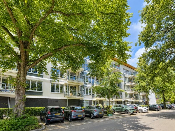 For rent: Arnhem