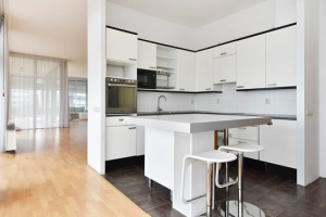 For rent: Rijswijk (ZH)