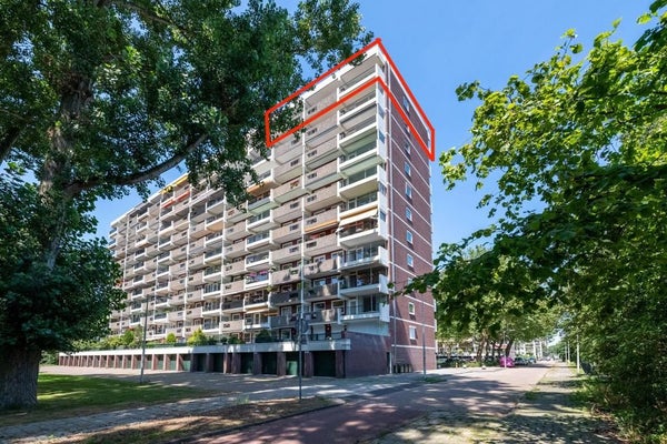 For rent: Amsterdam