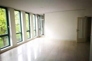 For rent: Groningen