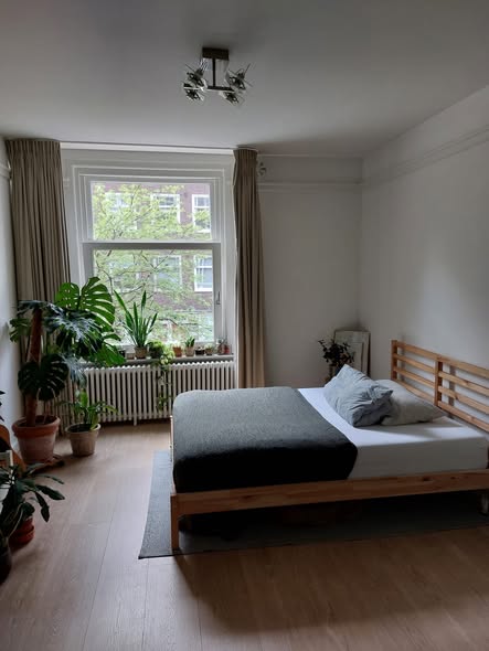 For rent: Amsterdam