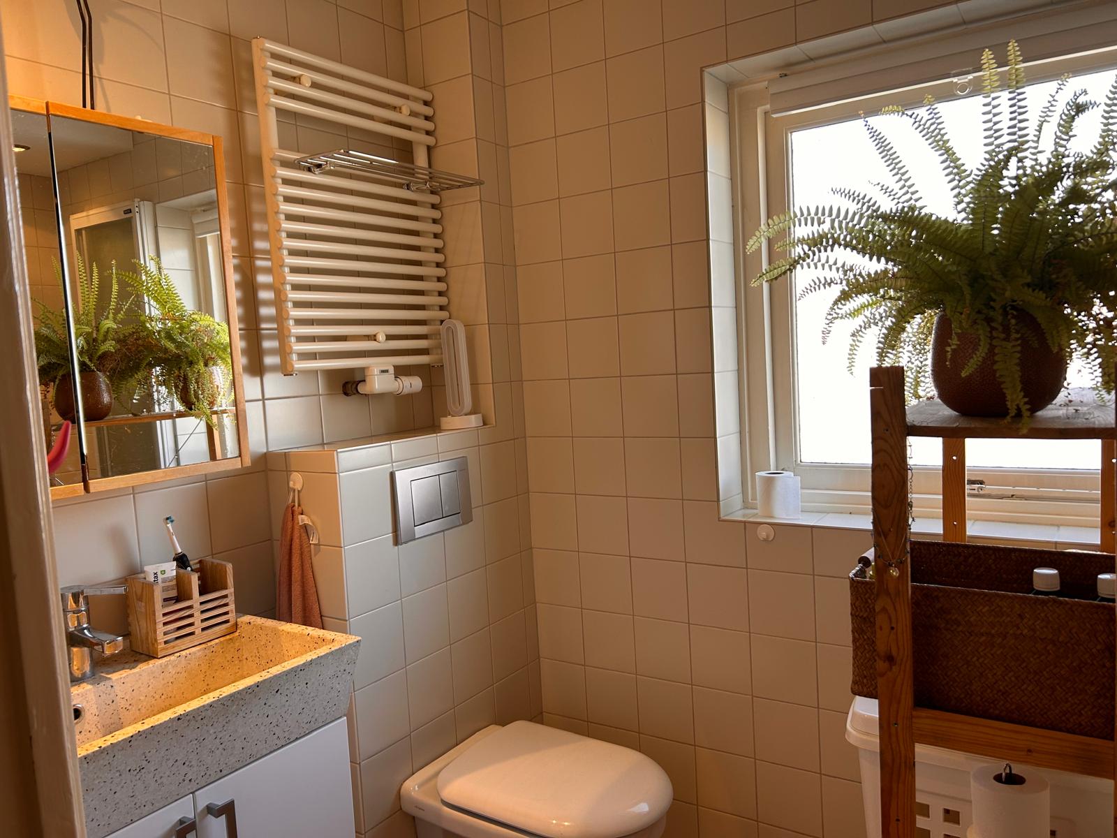 For rent: Monster / €550.00 p.m. / 25.00m2