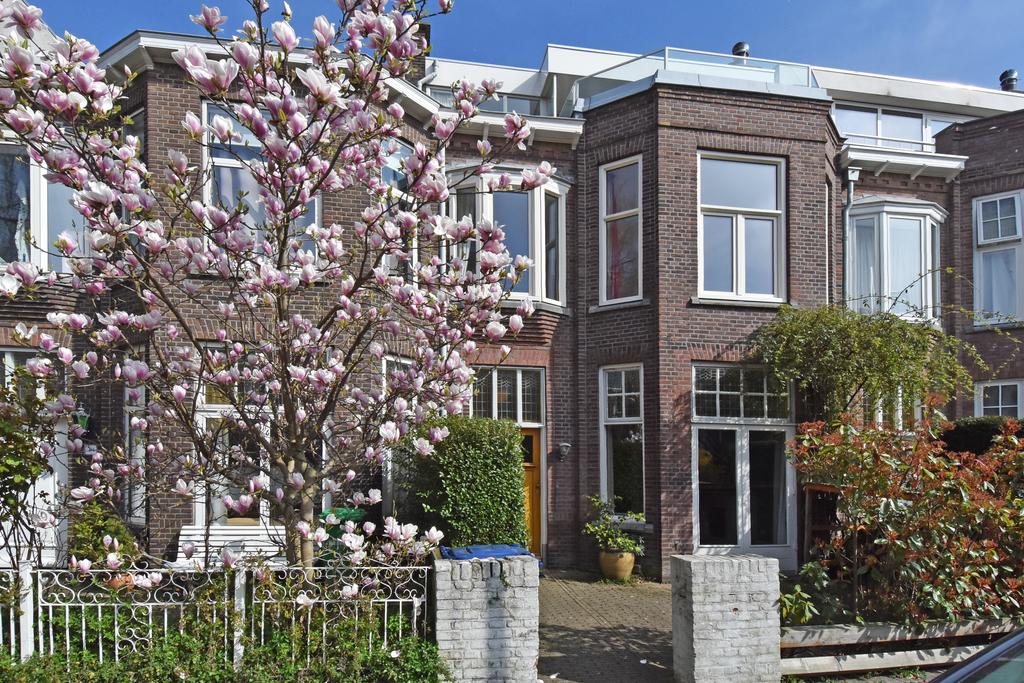 For rent: Den Haag