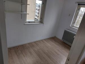 For rent: Groningen