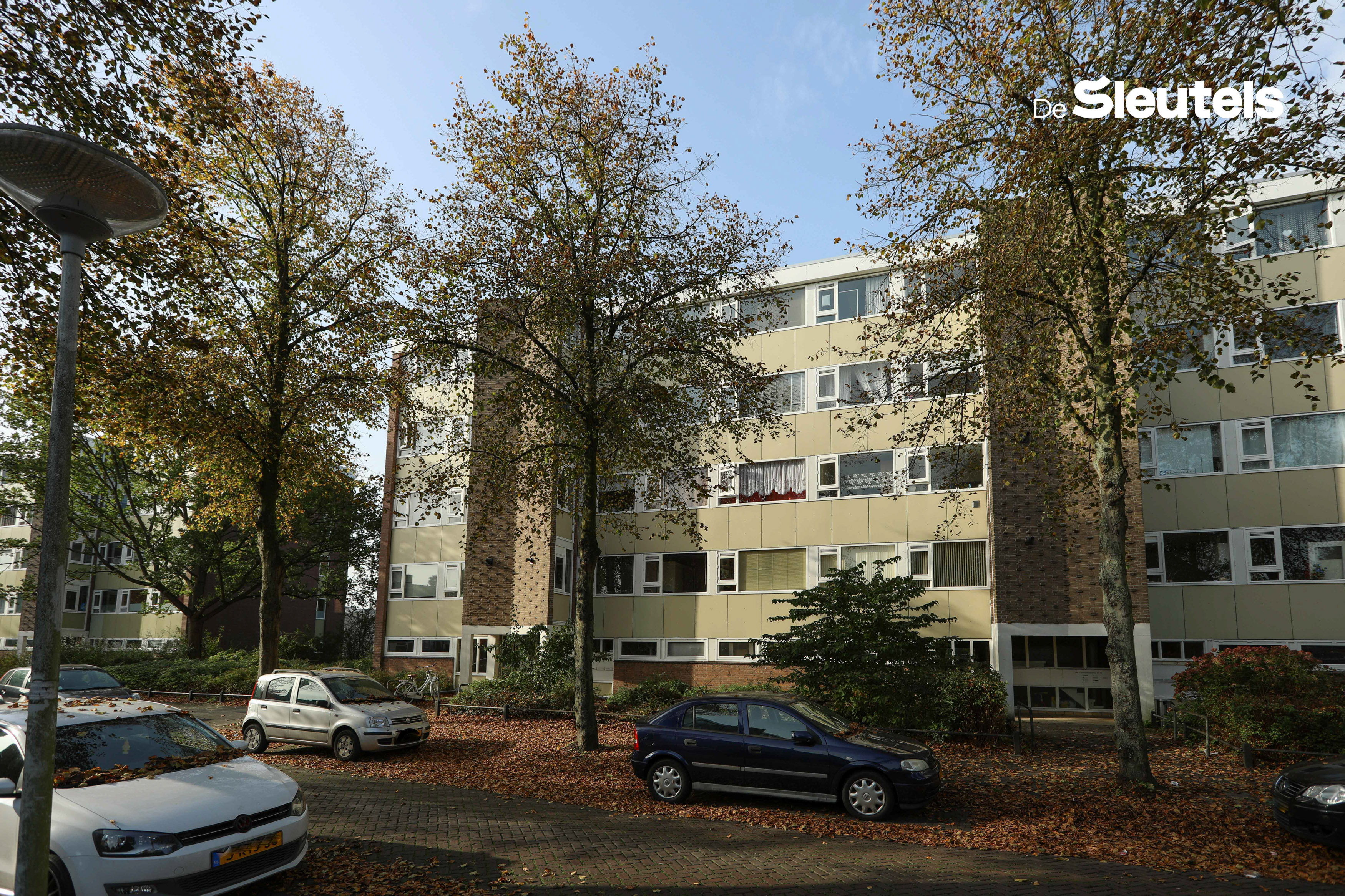 For rent: Leiden