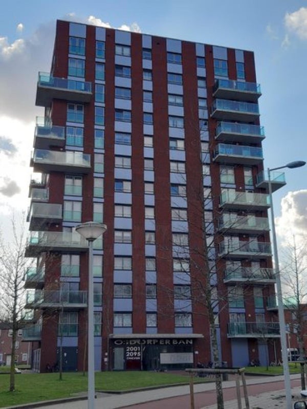 For rent: Amsterdam