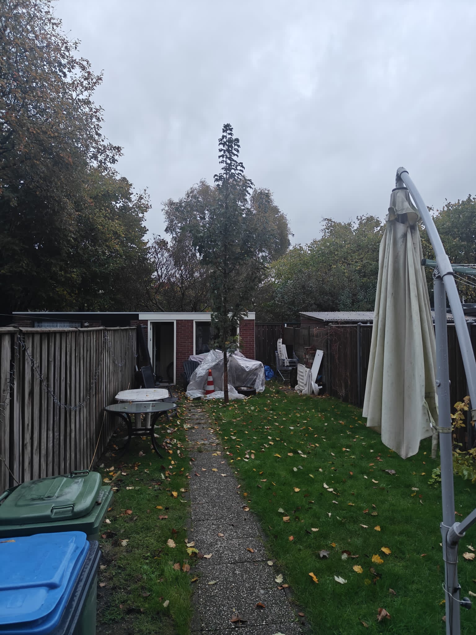 For rent: Eindhoven / €425 p.m. / 14m2