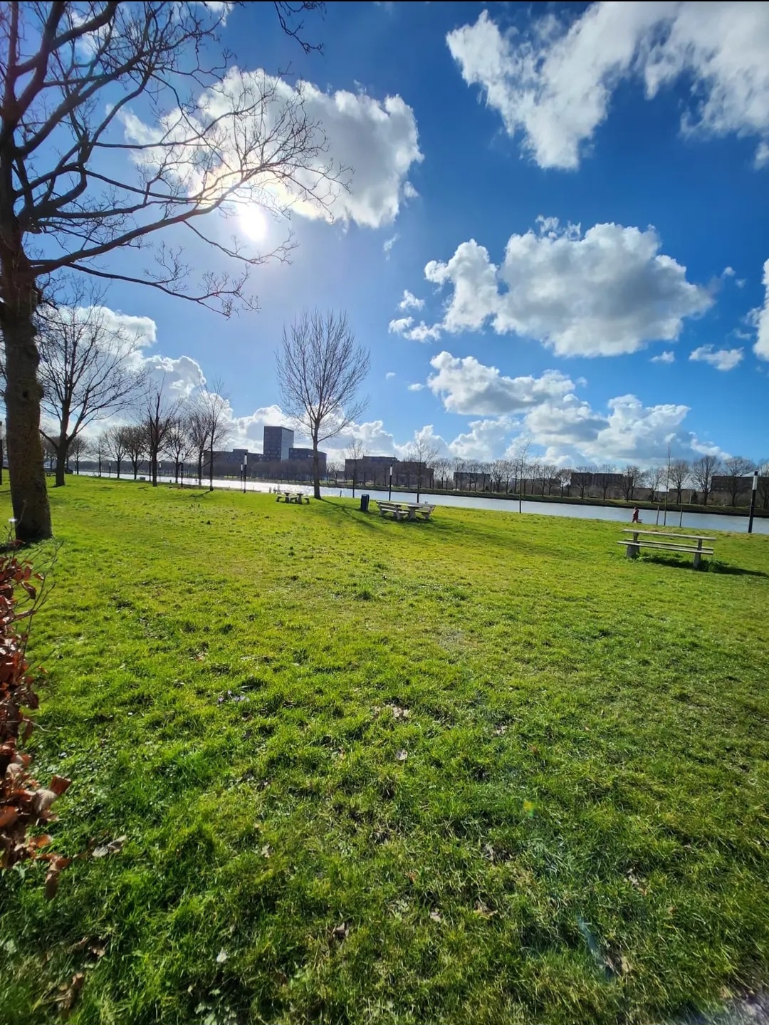 Te huur: Utrecht / €495 p.m. / 12m2