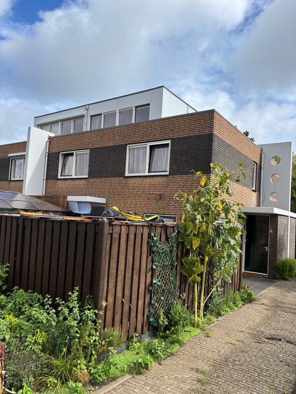 For rent: Amsterdam