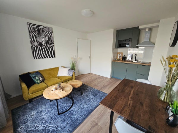 For rent: Utrecht / €820.00 p.m. / 25.00m2