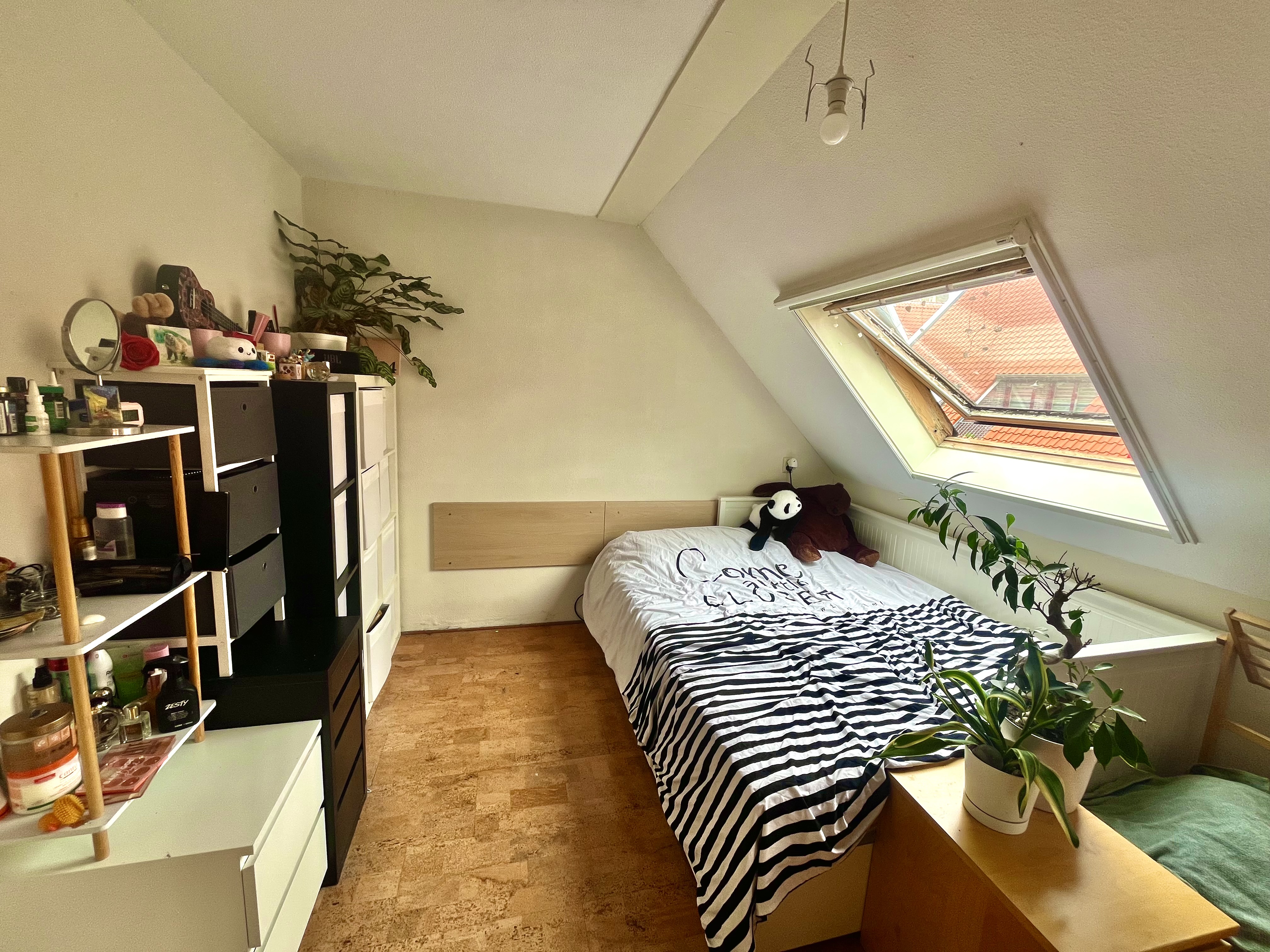 Te huur: Schiedam / €669 p.m. / 10m2