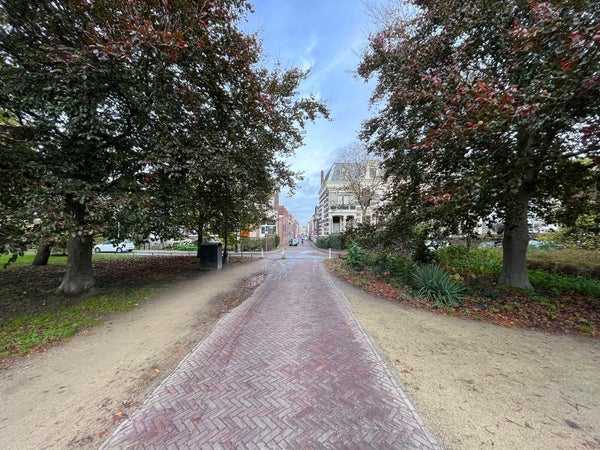 For rent: Leiden