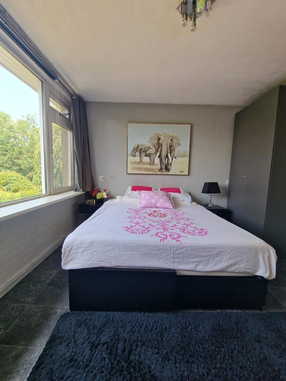For rent: Rotterdam