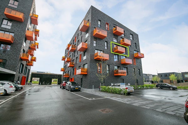 For rent: Groningen