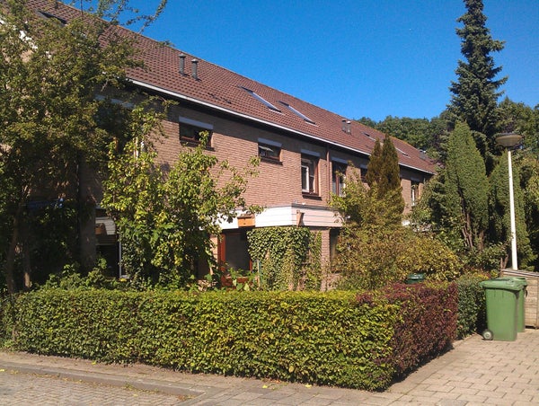 For rent: Rotterdam
