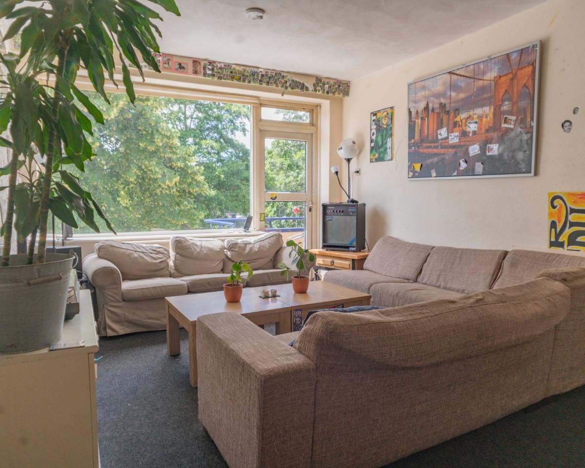 For rent: Groningen