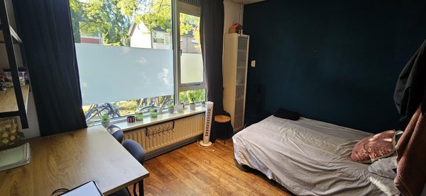 For rent: Groningen