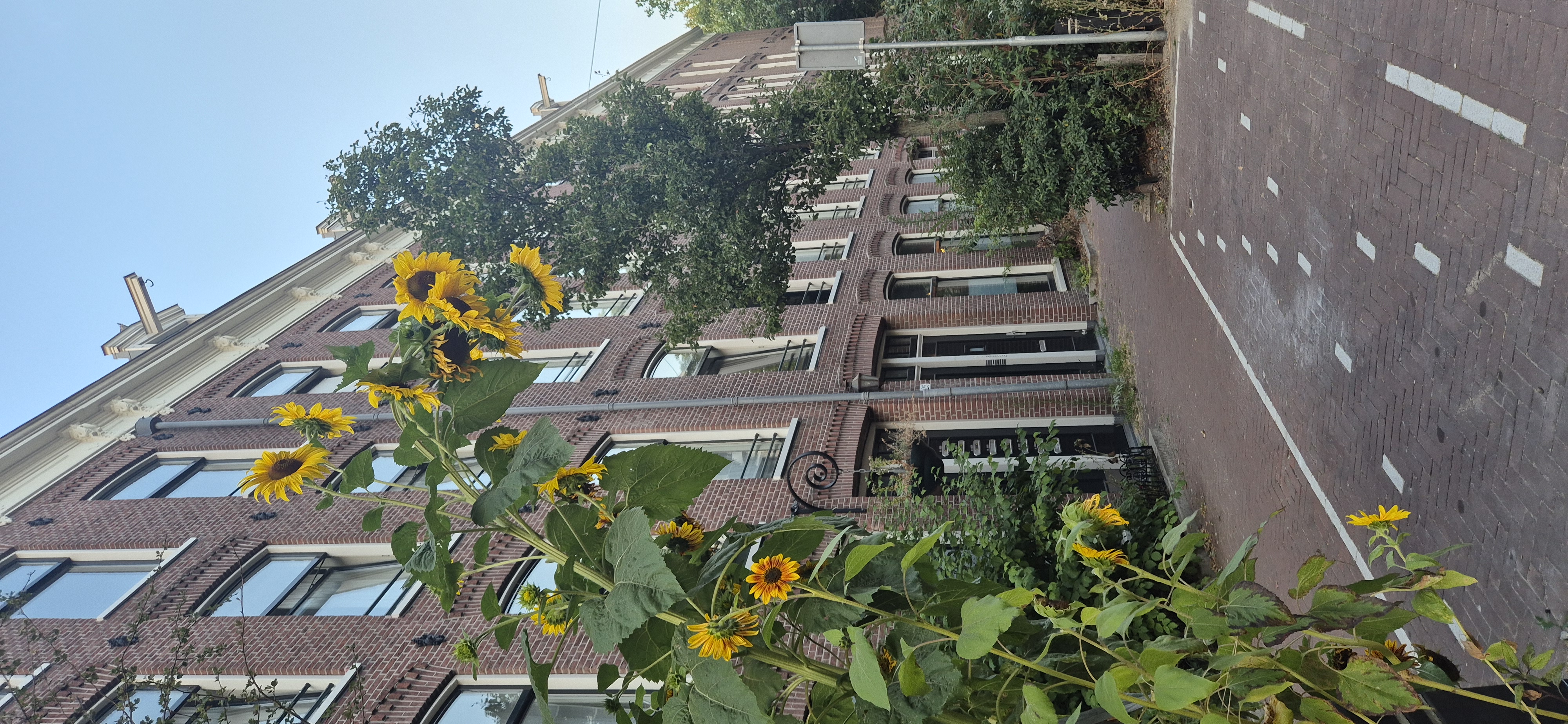 Te huur: Amsterdam