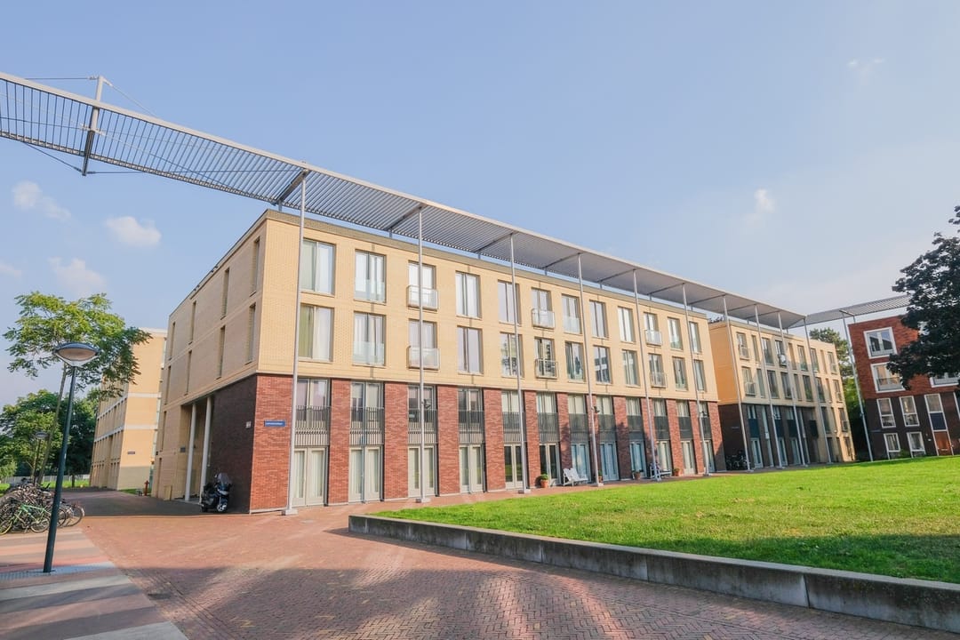 Te huur: Haarlem