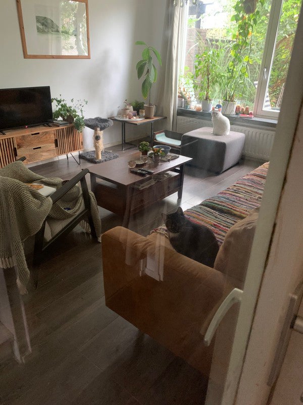 Te huur: Den Bosch / €901 p.m. / 86m2