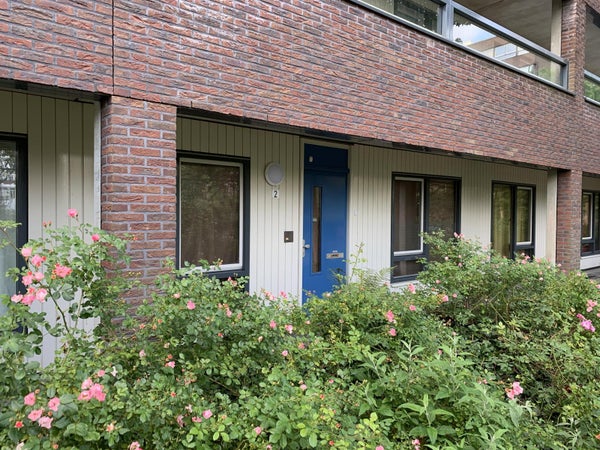 For rent: Amsterdam