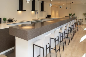 For rent: Nieuwegein