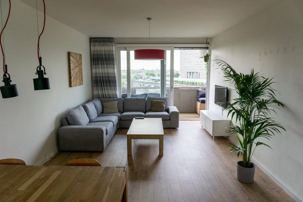 For rent: Amsterdam