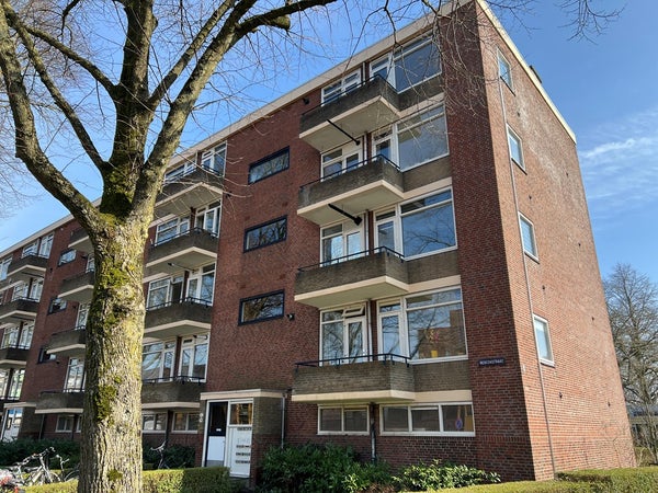 Te huur: Groningen / €560,00 p.m. / 15,00m2