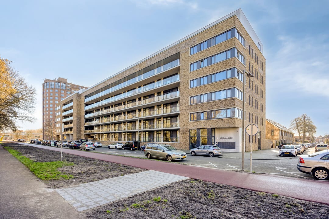 For rent: Rotterdam