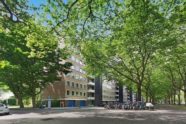 For rent: Amsterdam