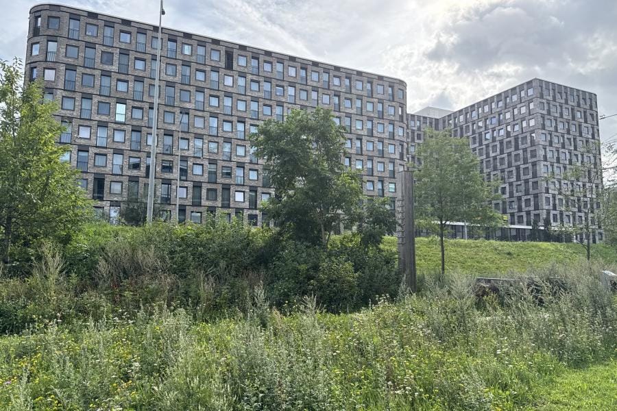 For rent: Amsterdam