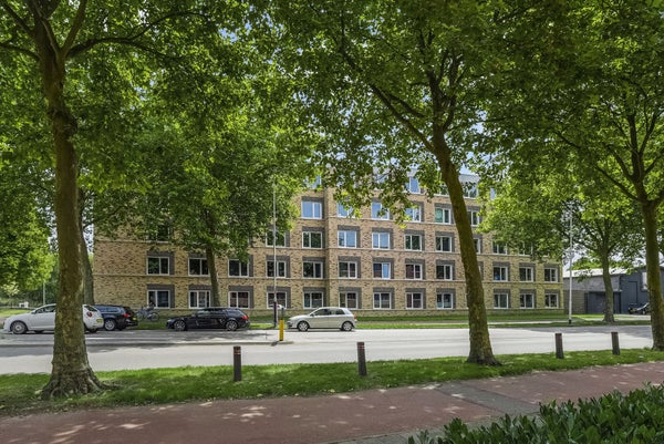 Te huur: Breda