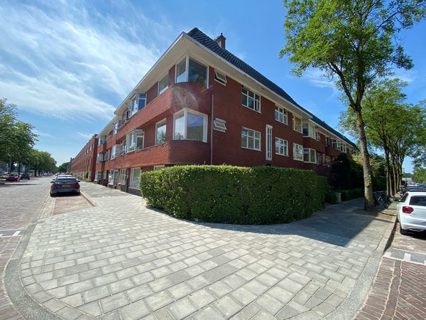 For rent: Groningen