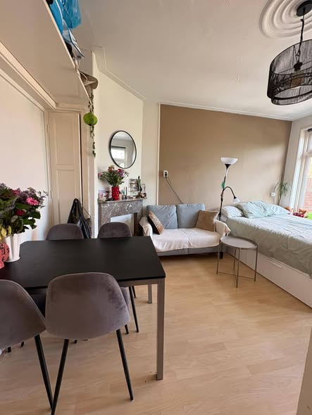 For rent: Groningen / €500.00 p.m. / 17.00m2