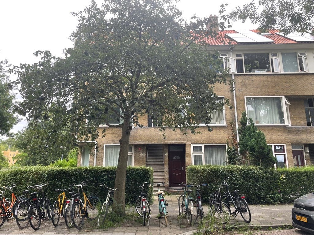 For rent: Groningen