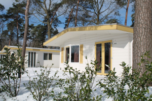Te huur: Voorthuizen