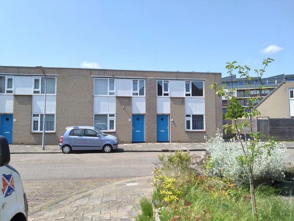 For rent: Haarlem
