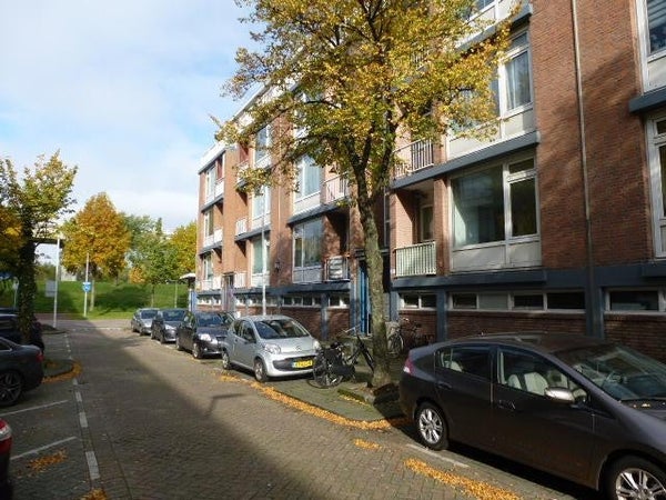 For rent:  Rotterdam  / €1175.00 p.m. / 54.00m2