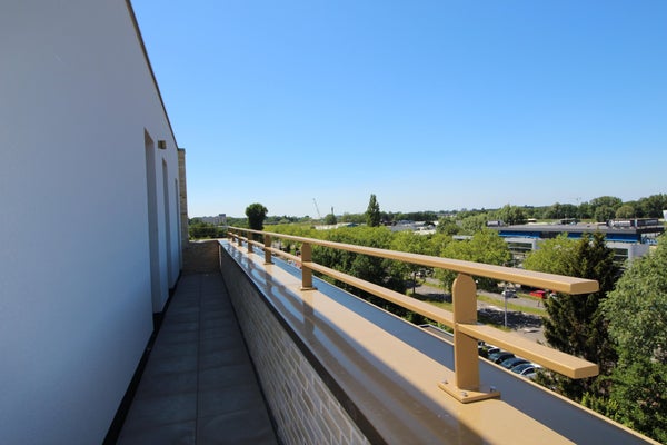 For rent: Rotterdam