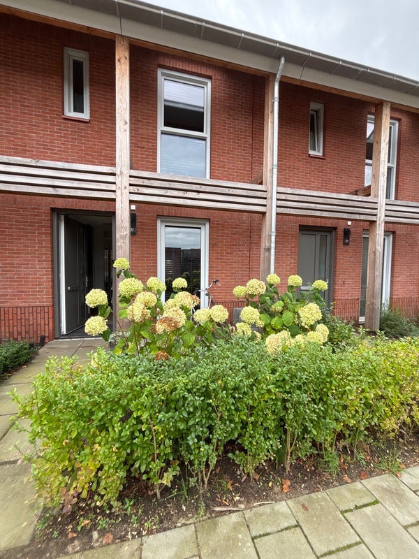 For rent: Steenwijk