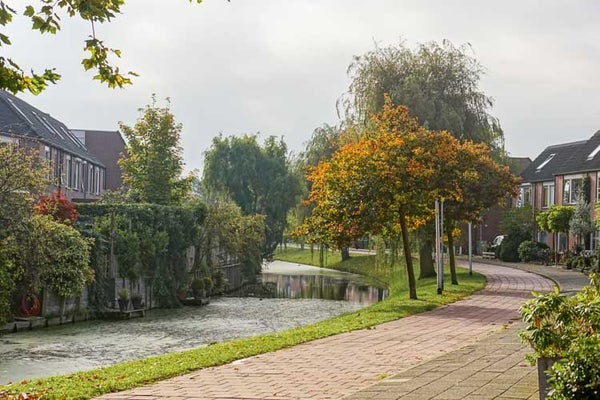For rent: Rijnsburg