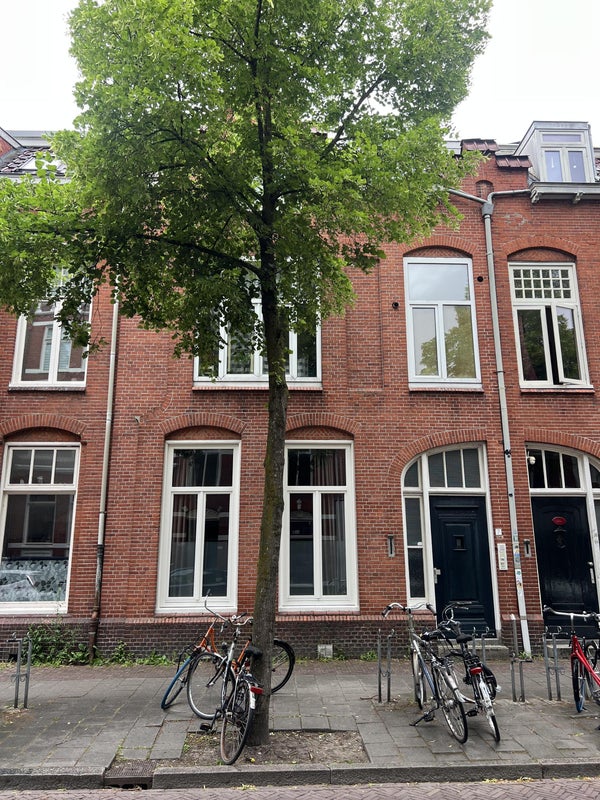 Te huur: Groningen