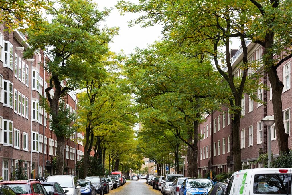Te huur: Amsterdam